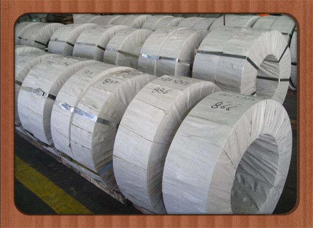 HR/CR/Galvanized Steel Strip