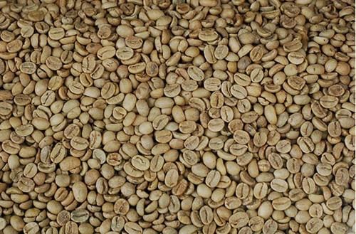 Export Robusta Coffee Beans | Robusta Coffee Bean Importer | Robusta Coffee Beans Buyer | Buy Robusta Coffee Beans | Robusta Coffee Bean Wholesaler | Robusta Coffee Bean Manufacturer | Best Robusta Coffee Bean Exporter | Low Price Robusta Coffee Beans | B