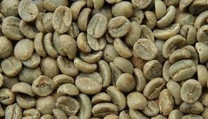 Export Robusta Coffee Beans | Robusta Coffee Bean Importer | Robusta Coffee Beans Buyer | Buy Robusta Coffee Beans | Robusta Coffee Bean Wholesaler | Robusta Coffee Bean Manufacturer | Best Robusta Coffee Bean Exporter | Low Price Robusta Coffee Beans | B