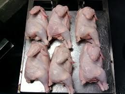 Halal Chicken Meat, Halal Frozen Whole Chicken