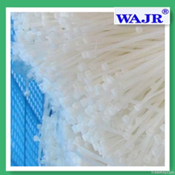 WAJR plastic wire tie 4.8*200