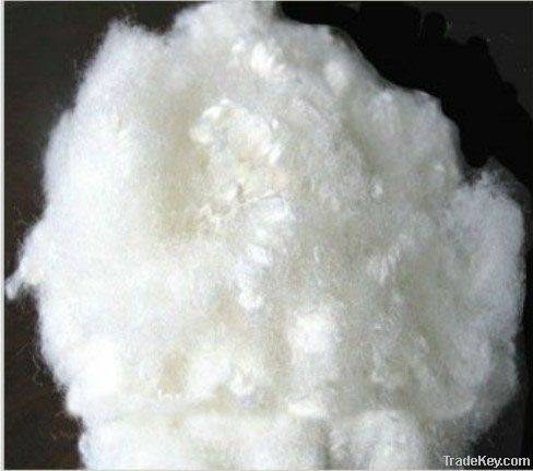 polyester staple fiber