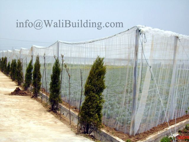 Plastic Agriculture Shading/Scaffolding Netting