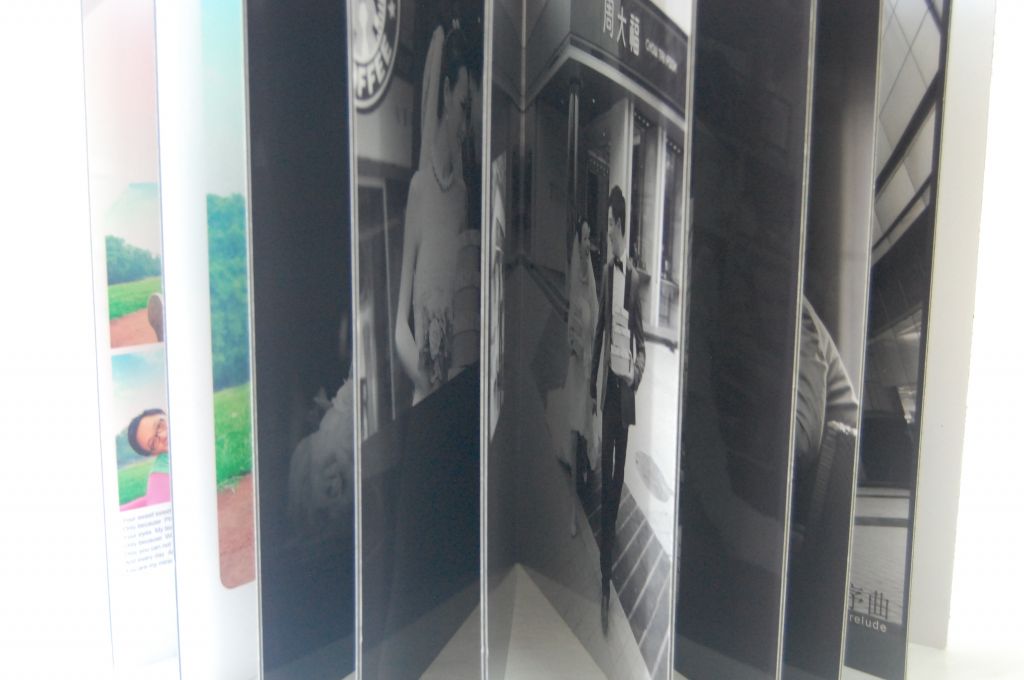 0.8mm pvc board