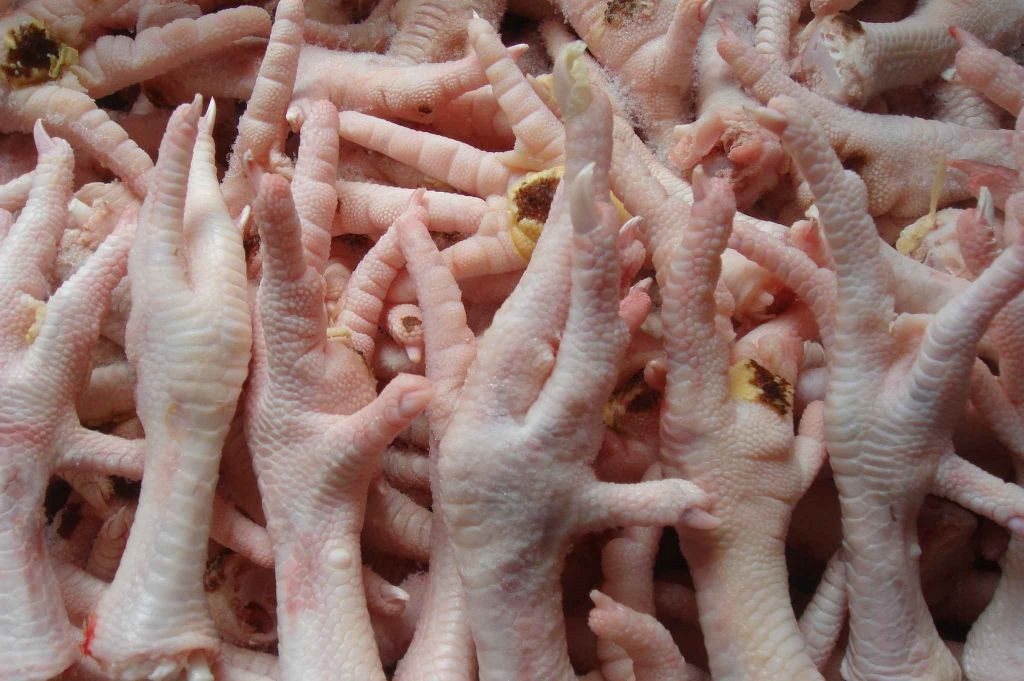 High Quality A-Grade Frozen Chicken Feet