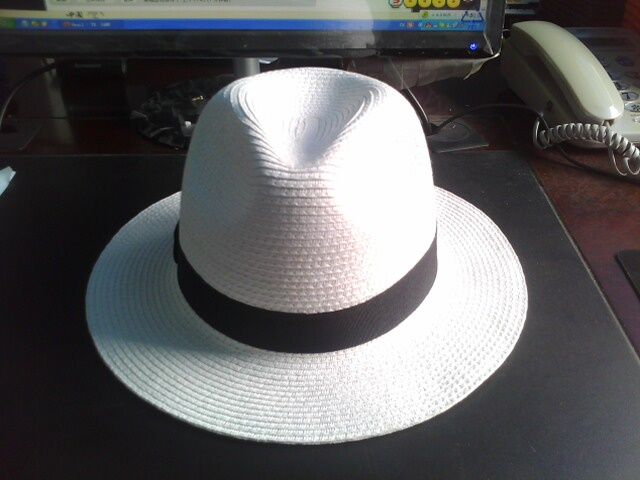 panama hat /fedora hat/boater hat 