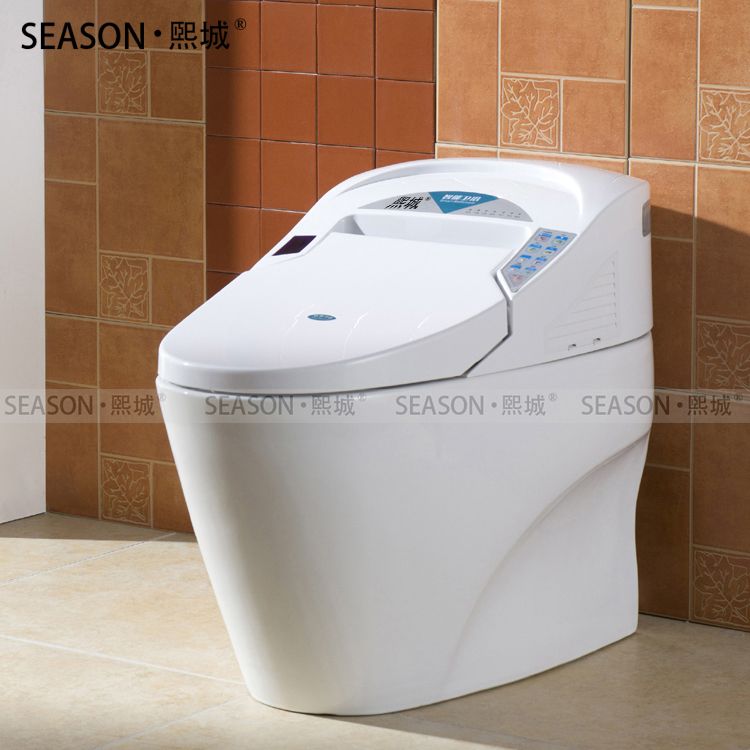 Whole Price One Piece Smart Toilet Floor Mounted Intelligent Closestool For WC Bathroom Ceramic Cyclone Flushing Toilet SMT001