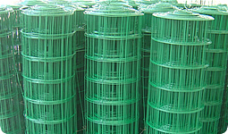 Welded Wire Mesh