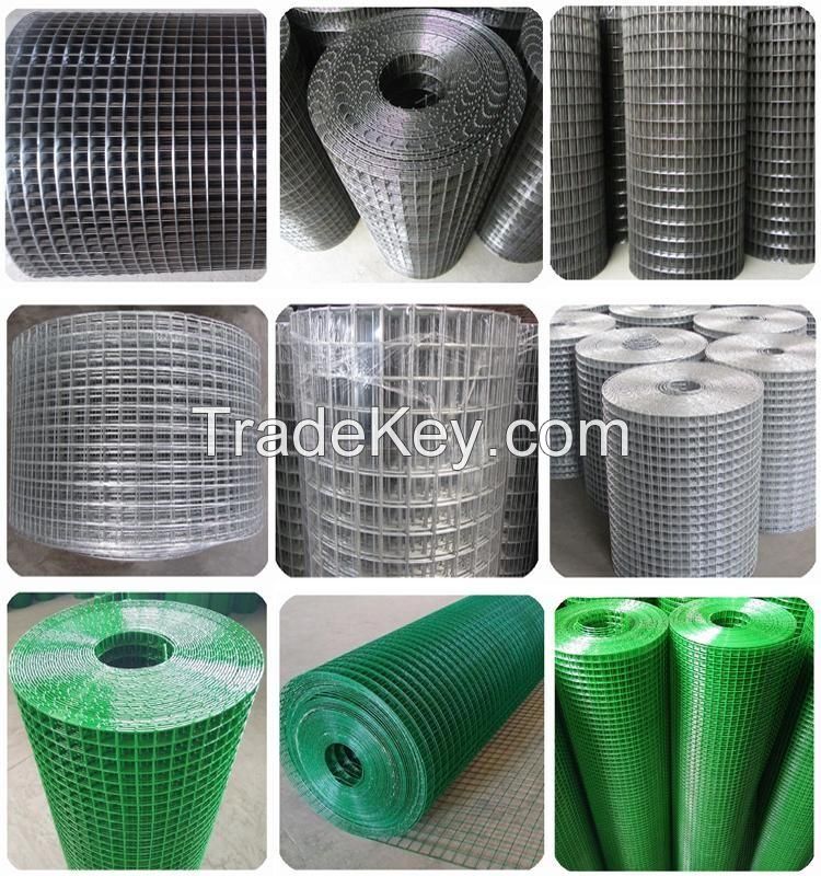 1x1'' 1x2''  Galvanized Welded Wire Mesh Supplier Welded Wire mesh for Chicken Coop Animal Metal Cage mesh