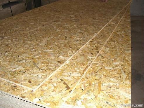 sell 6-40mm OSB boards