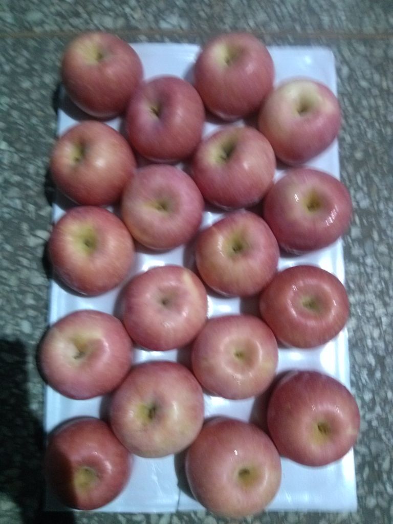 fresh apple