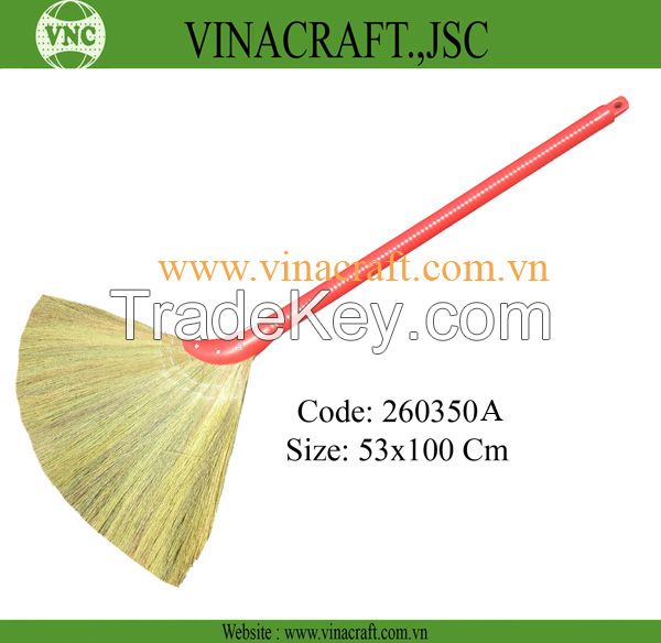 Vietnam grass broom with competitve price