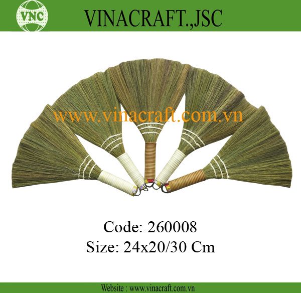 Small Vietnam grass broom