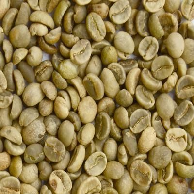 Export Arabica Coffee Beans,Arabica Coffee Bean Importer,Arabica Coffee Beans Buyer,Buy Arabica Coffee Beans,Arabica Coffee Bean Wholesaler,Arabica Coffee Bean Manufacturer,Best Arabica Coffee Bean Exporter,Low Price Arabica Coffee Beans,Best Quality Arab