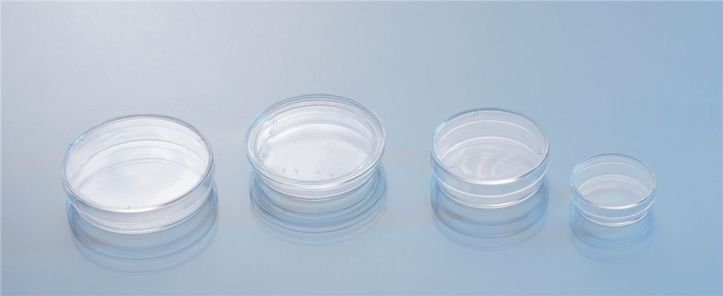 30*15mm Petri-dish mould