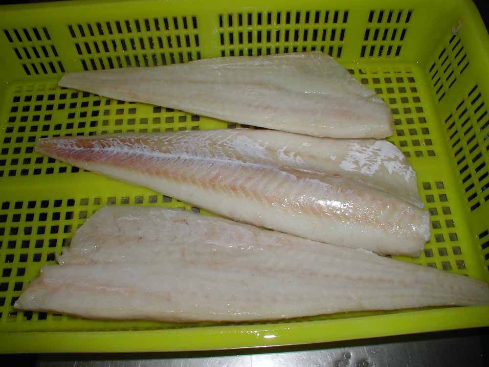 Pacific Cod Fillet