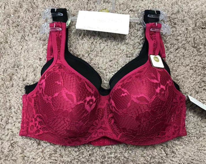 2pk Women's Molded Cup Plus Size Bra