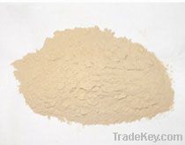 bentonite