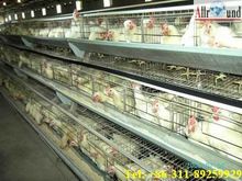 Chciken Coop Broiler Cage