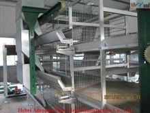  Egg Farm For Breeding Layer Chickens