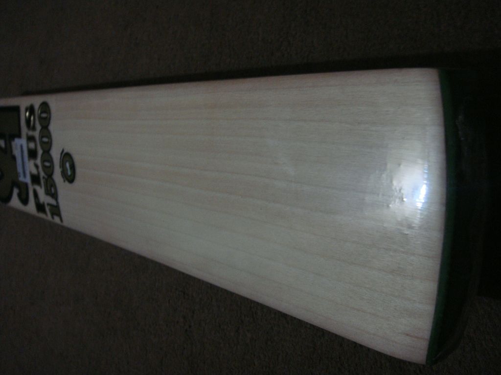 ca plus 15000 cricket bat