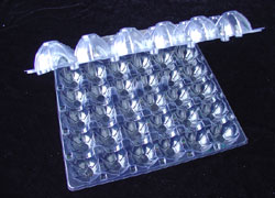 egg tray, egg carton, egg box