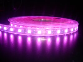 smd5050 led strips