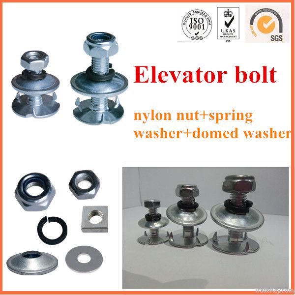 Elevator bolt