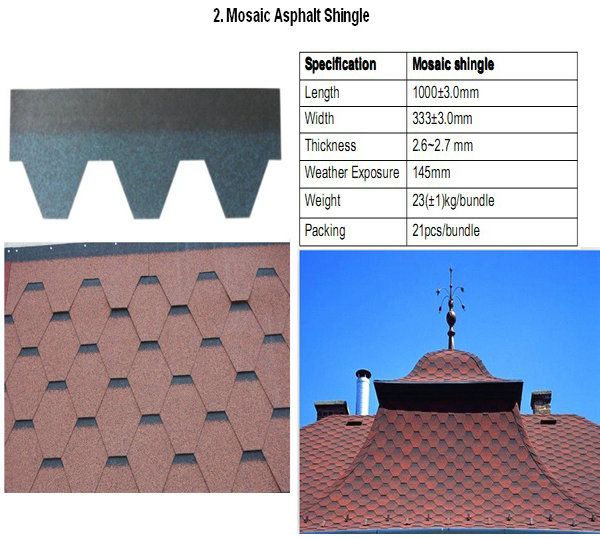 Mosaic Asphalt Shingle