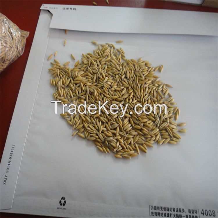 animal feed oats best quality and best price