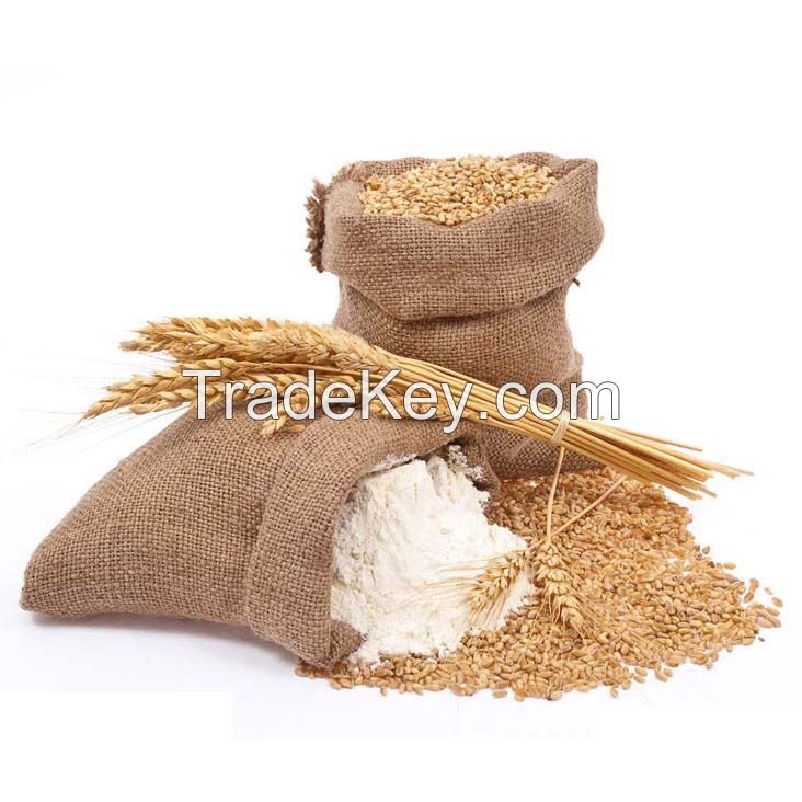 High Quality Wheat Flour From China