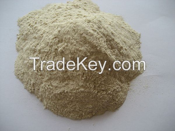 High Quality American Semolina Flour 