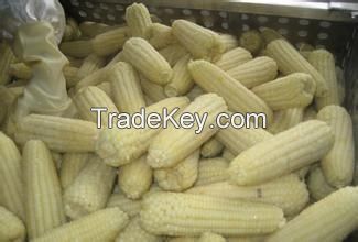 white corn of origin Brazil/Argentina for human food