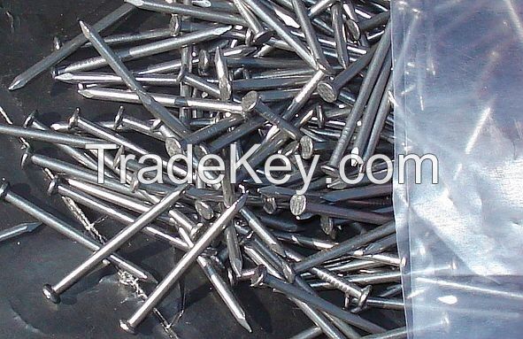 Electro Galvanized Common Wire Nail/Common Iron Wire Nails/Bright Common Nails