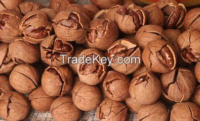 Pecan nuts Kernal/ pecans price