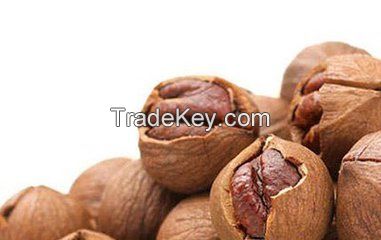 Pecan nuts Kernal/ pecans price