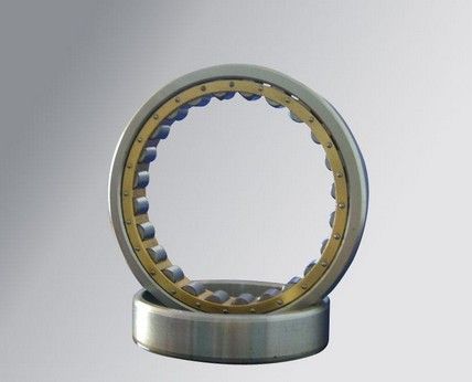High Speed Cylindrical Roller Bearing NU1007