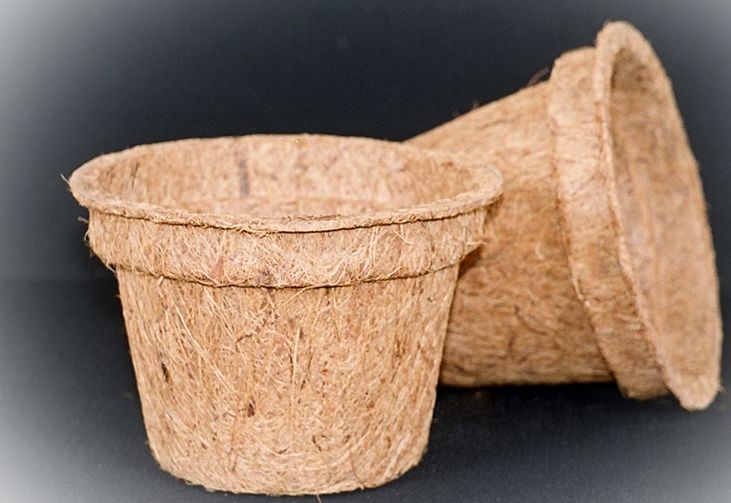 coir pots