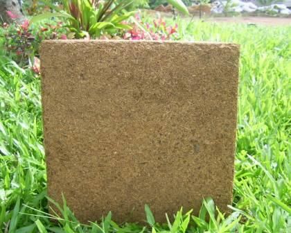 coco peat 5kg block