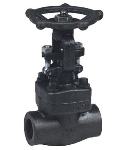 Forged Steel Thread Gate Valve (Z11-800LB)