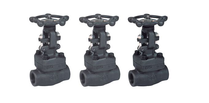 Forged Steel Thread Gate Valve (Z11-800LB)