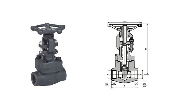 Forged Steel Thread Gate Valve (Z11-800LB)