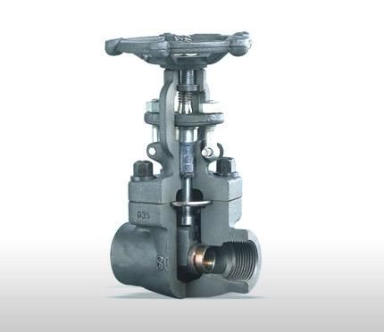 Forged Steel Thread Gate Valve (Z11-800LB)