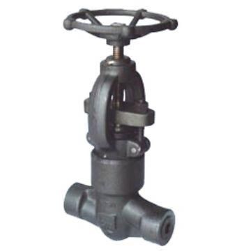 Forged Steel Screw Globe Valve (J11H)