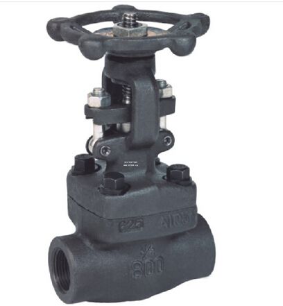 Forged Steel Thread Gate Valve (Z11-800LB)