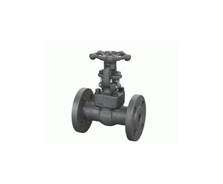 Forged Steel Flanged Gate Valves (Z41H)