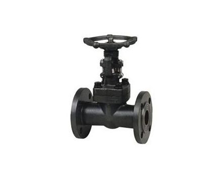 Forged Steel Flanged Gate Valves (Z41H)