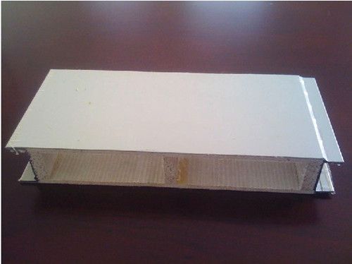 Magnesium sandwich panel