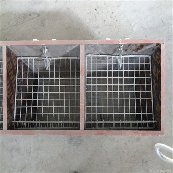 galvnized wire mesh