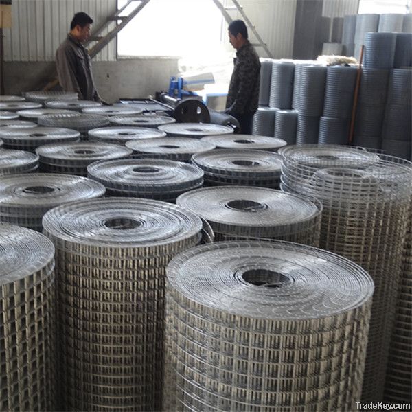 galvnized wire mesh